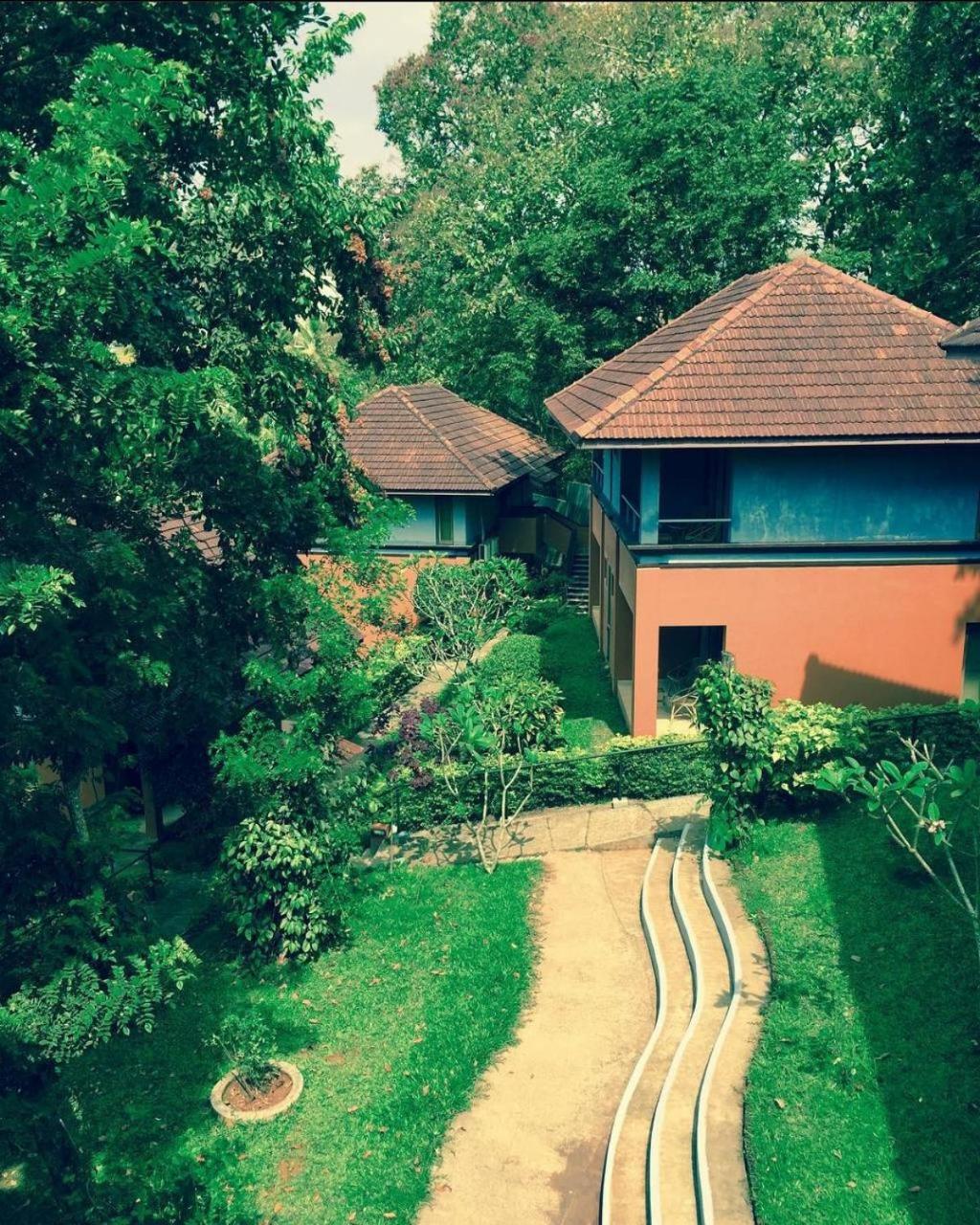 Abad Green Forest Thekkady Kumily Buitenkant foto