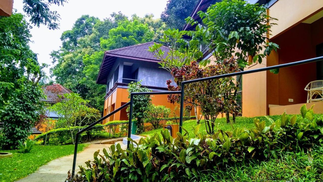 Abad Green Forest Thekkady Kumily Buitenkant foto