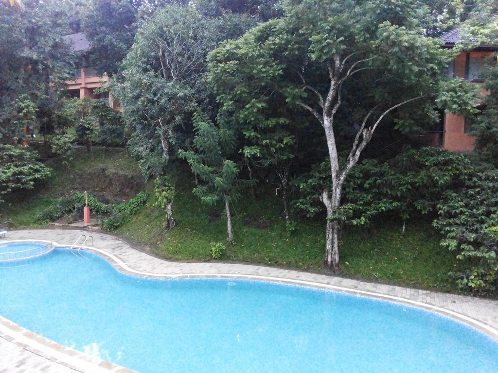 Abad Green Forest Thekkady Kumily Buitenkant foto