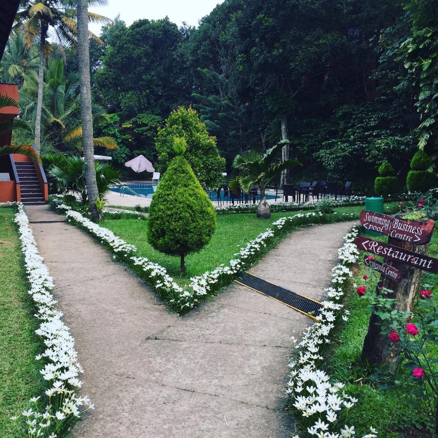 Abad Green Forest Thekkady Kumily Buitenkant foto